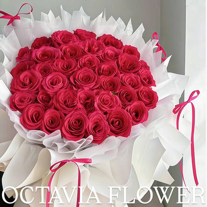…. OCTAVIA