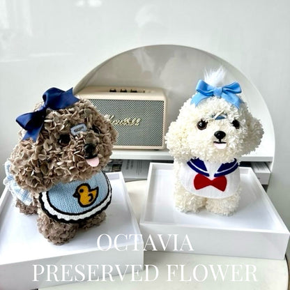 PFN2307-白色綉球花狗狗 OCTAVIA