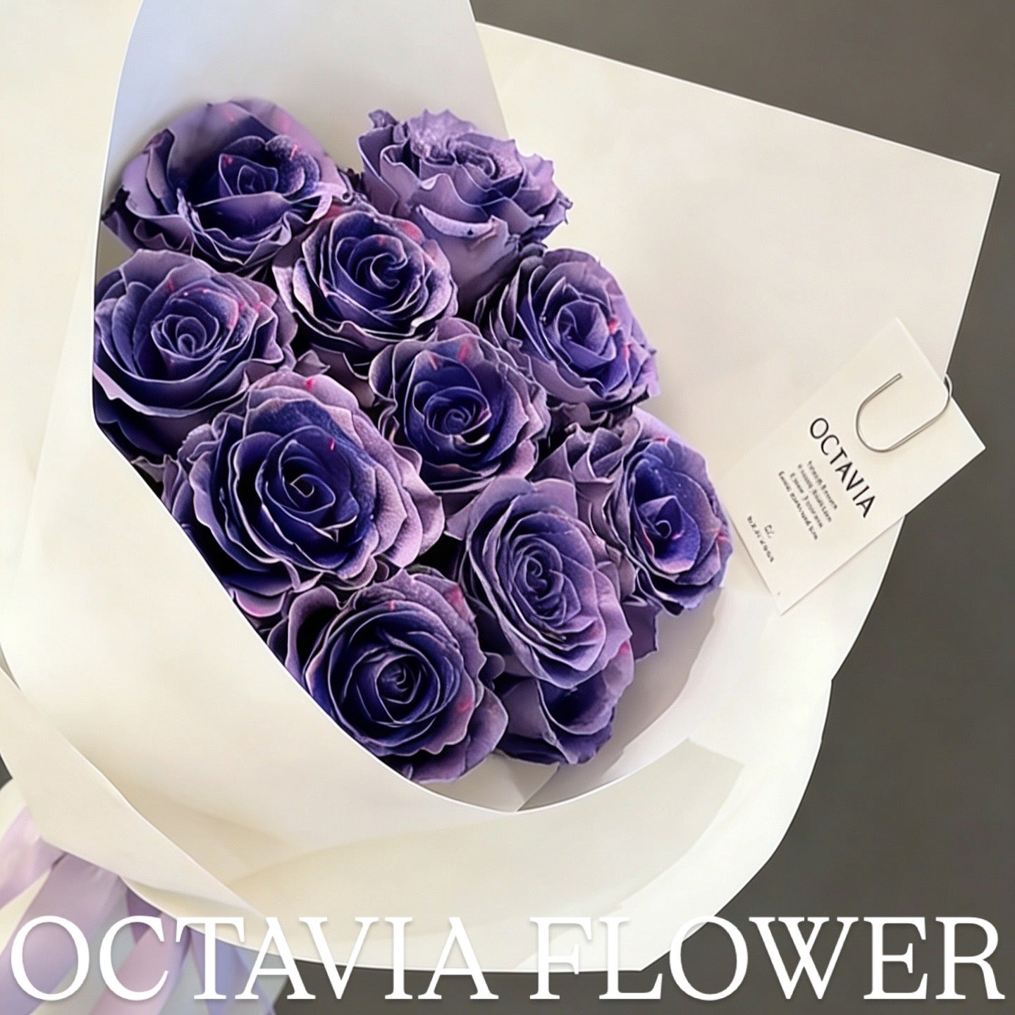 第 OCTAVIA