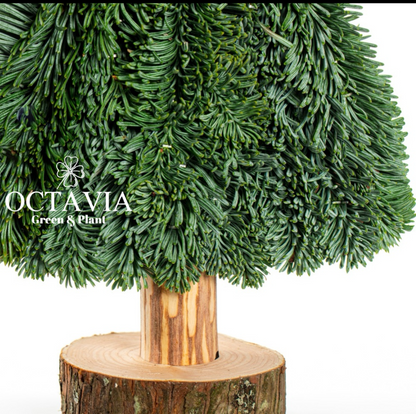 Handmade fresh Christmas tree (DIY material kit available for purchase)