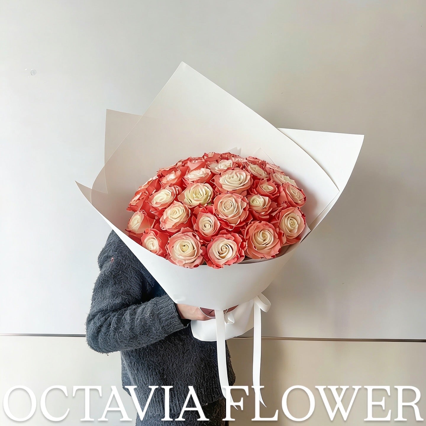 朋 OCTAVIA