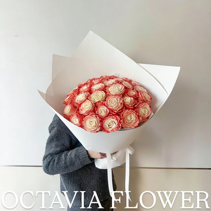 朋 OCTAVIA