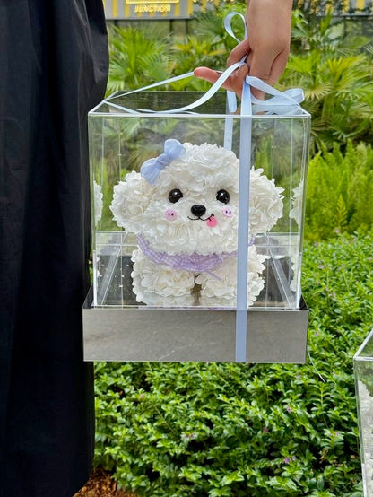 迷你比熊犬（淺藍色） OCTAVIA