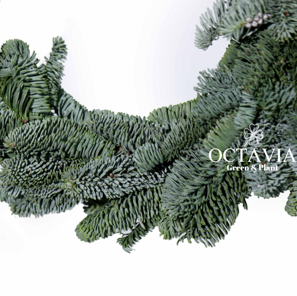 新鮮聖誕花環(可加購DIY材料包)