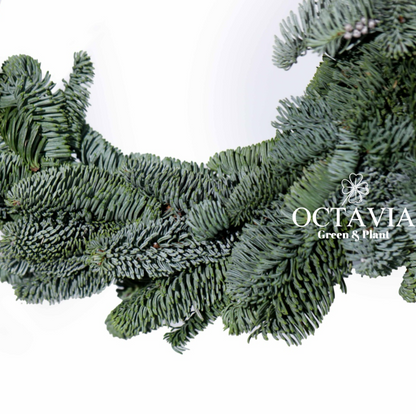 Fresh Christmas wreath (DIY kit available for purchase)