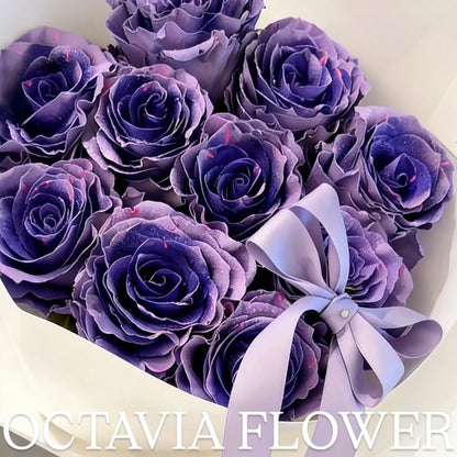 第 OCTAVIA