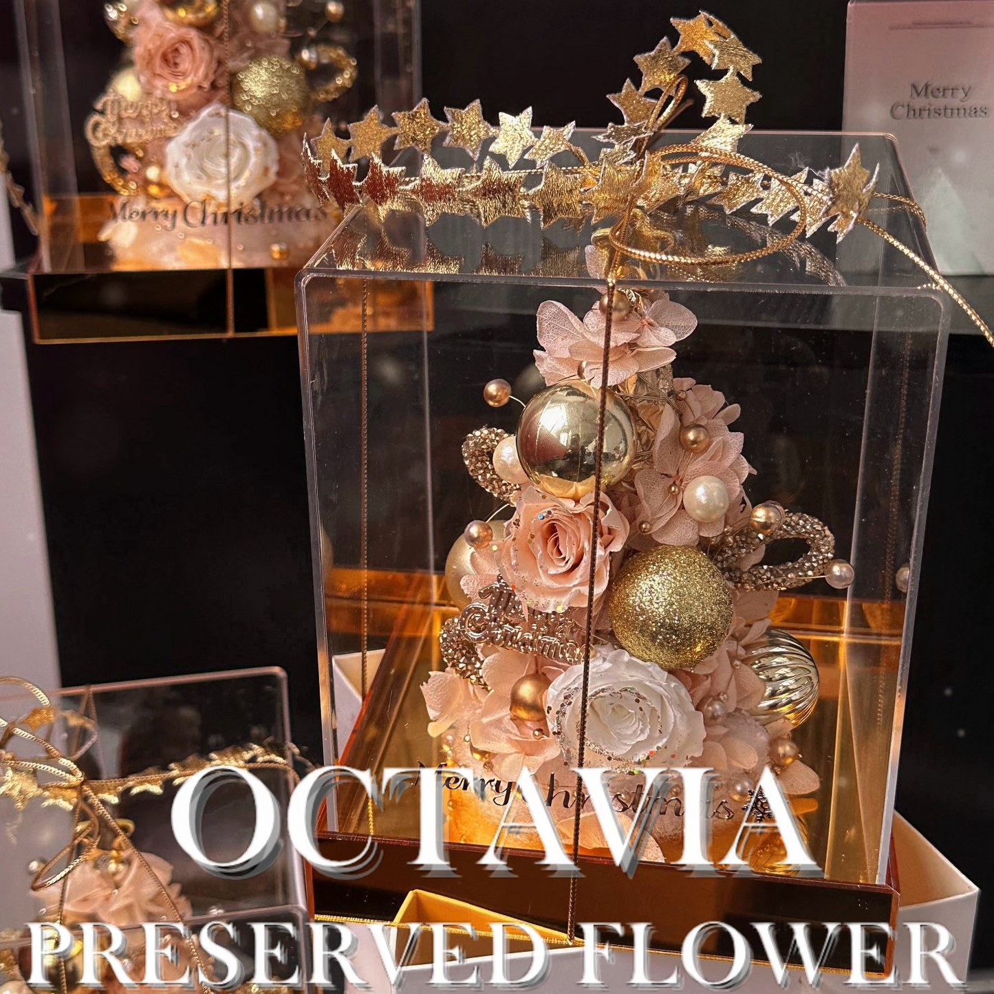 [永生花]-星願聖誕樹(共2色)