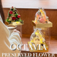 Christmas preserved flowers
