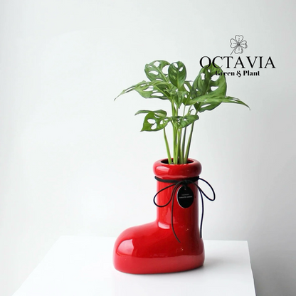 Christmas Greenery - Red Boots and Monstera deliciosa