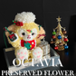 Christmas preserved flowers