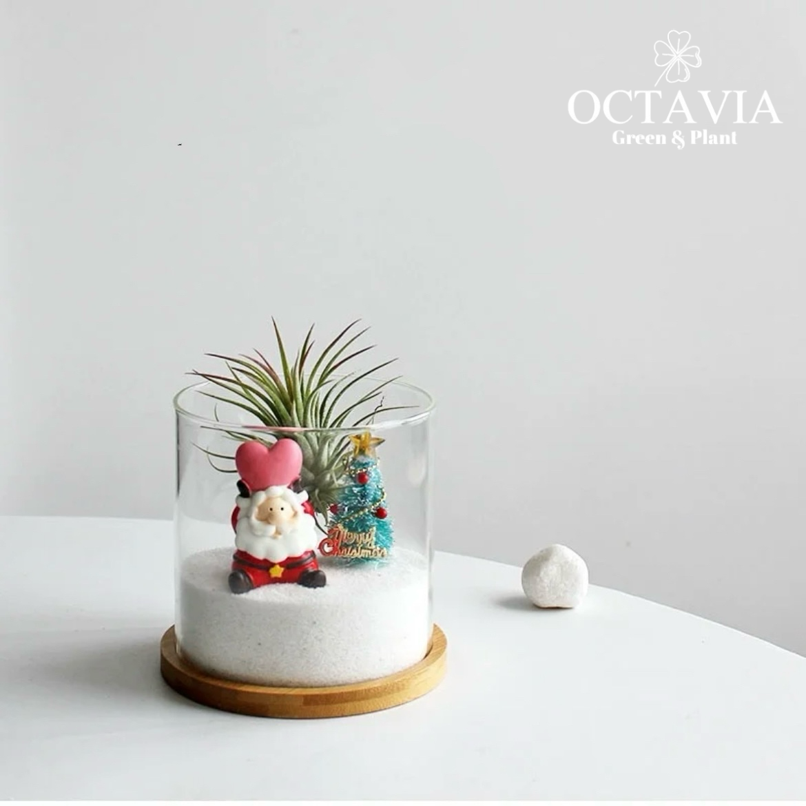 迷你聖誕樹-空氣梨