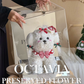 Christmas preserved flower - puppy
