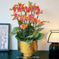 2026 新春賀年蘭花 10枝金蝶蝴蝶蘭 直身錘紋金盆花禮 (CNY 10 Stems Yellow Golden Orchid in Gold Pot)
