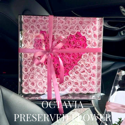PFN07-心心花盒 OCTAVIA