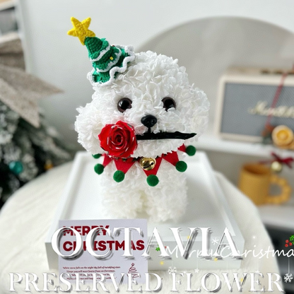 Christmas preserved flower - puppy