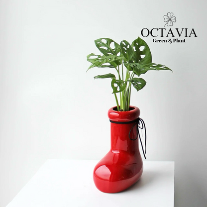 Christmas Greenery - Red Boots and Monstera deliciosa