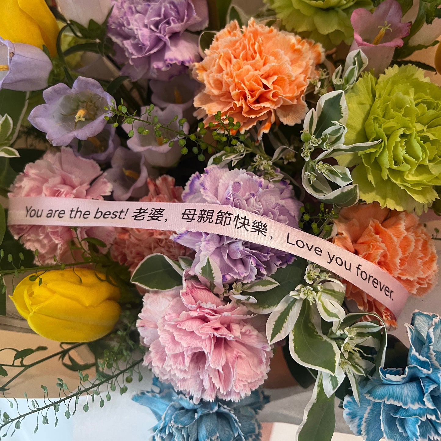 七彩綻放康乃馨花束￼ OCTAVIA