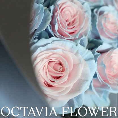 弓 OCTAVIA