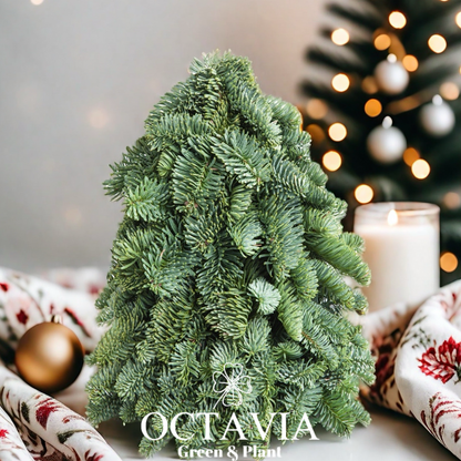 Handmade 3D Fresh Christmas Tree (DIY material kit available for purchase)