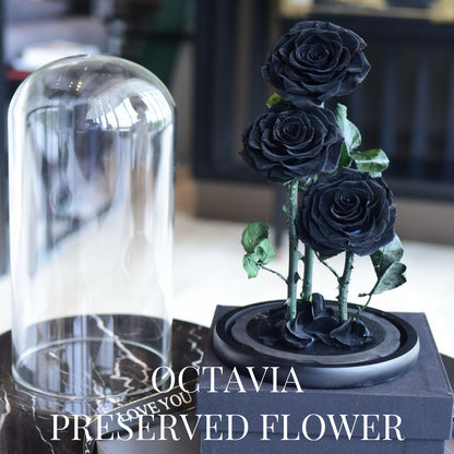 PFN18-三朵永生花玻璃罩(色) OCTAVIA