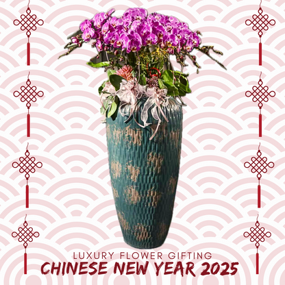 新年蘭花F32 OCTAVIA