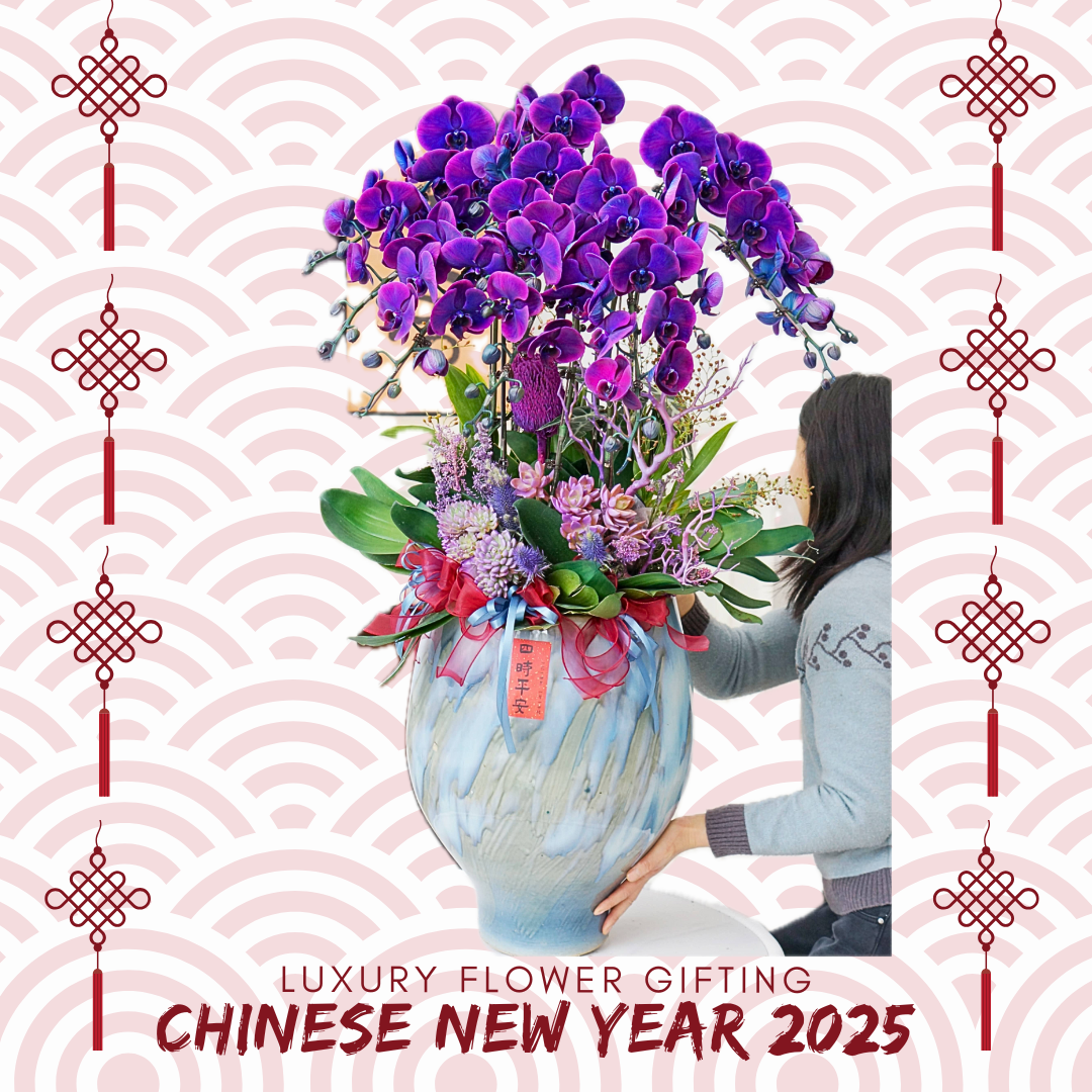 新年蘭花M14