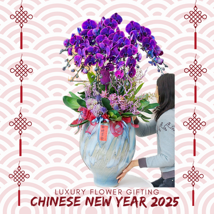 新年蘭花M14 OCTAVIA