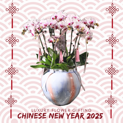 新年蘭花32 OCTAVIA