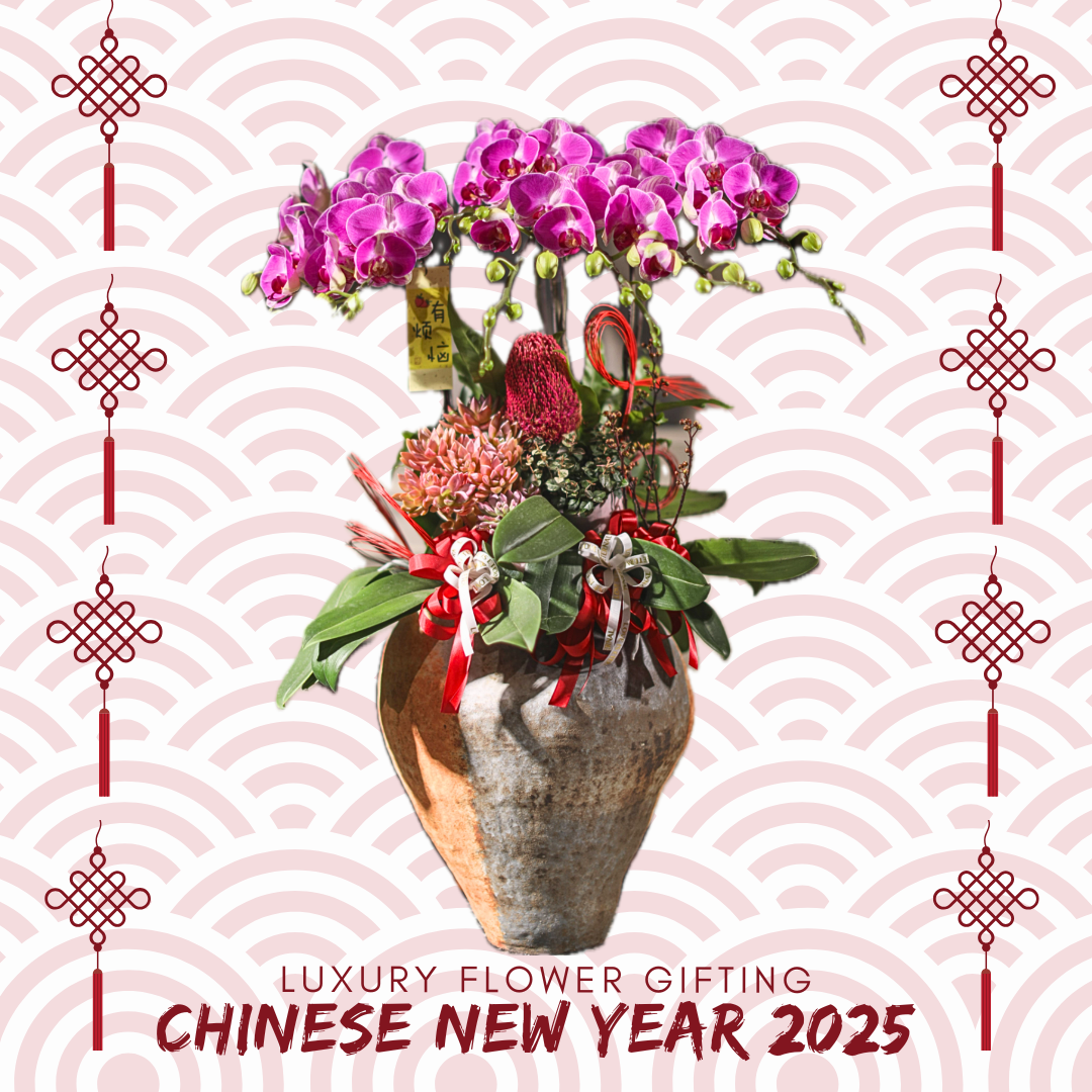 新年蘭花07