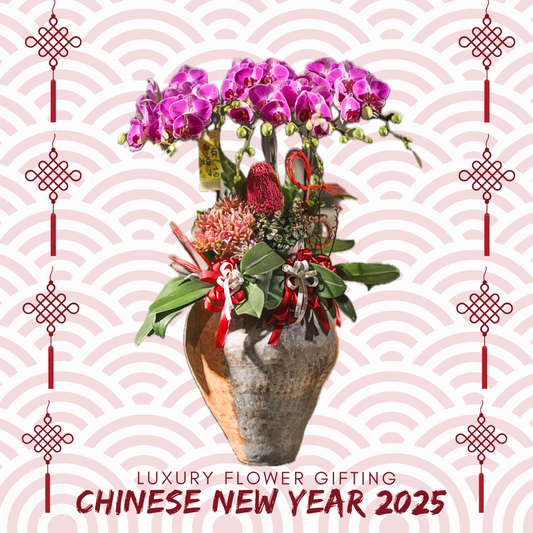 新年蘭花07