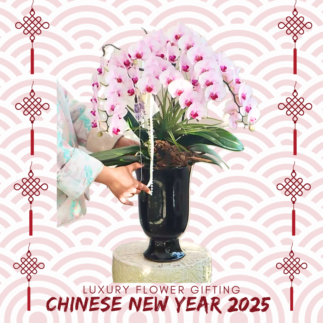 新年蘭花X30