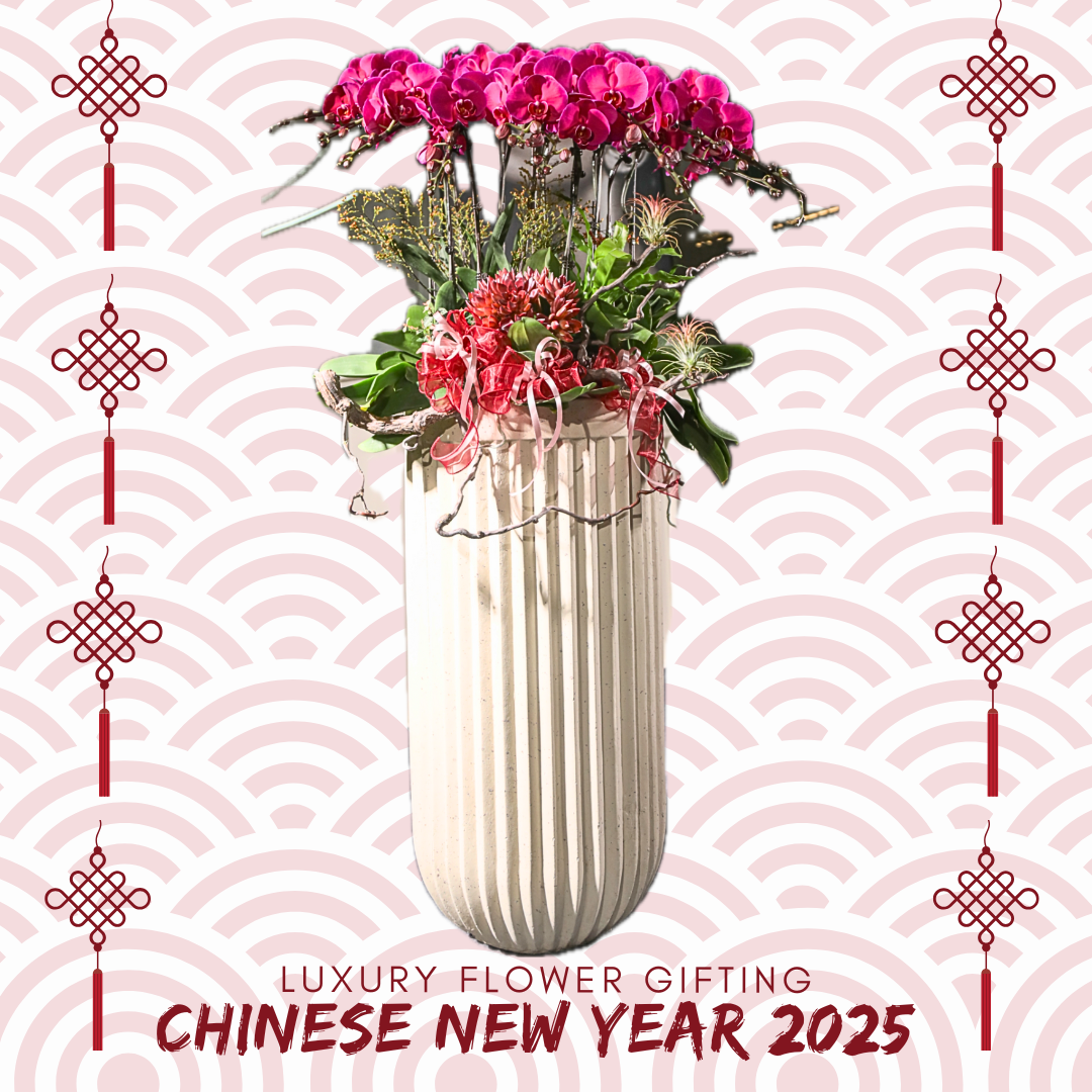 新年蘭花H02