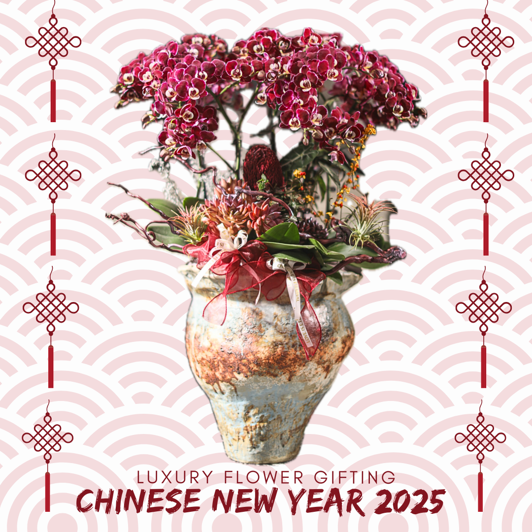 新年蘭花29