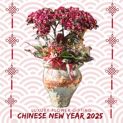 新年蘭花29 OCTAVIA