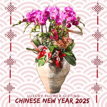 新年年宵花禮H10 OCTAVIA