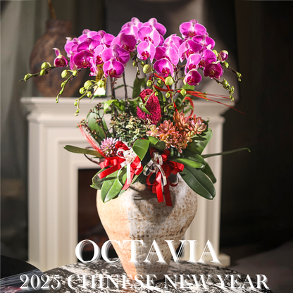 新年年宵花禮H10 OCTAVIA