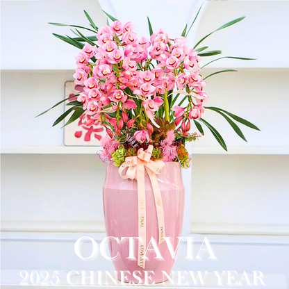 新年蘭花B02 OCTAVIA