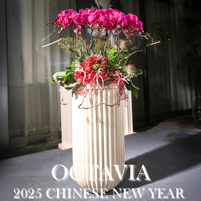 新年蘭花H02 OCTAVIA