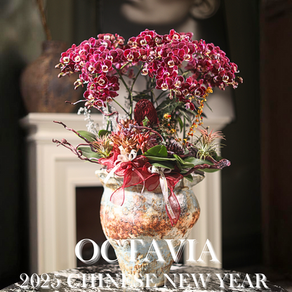 新年蘭花29 OCTAVIA