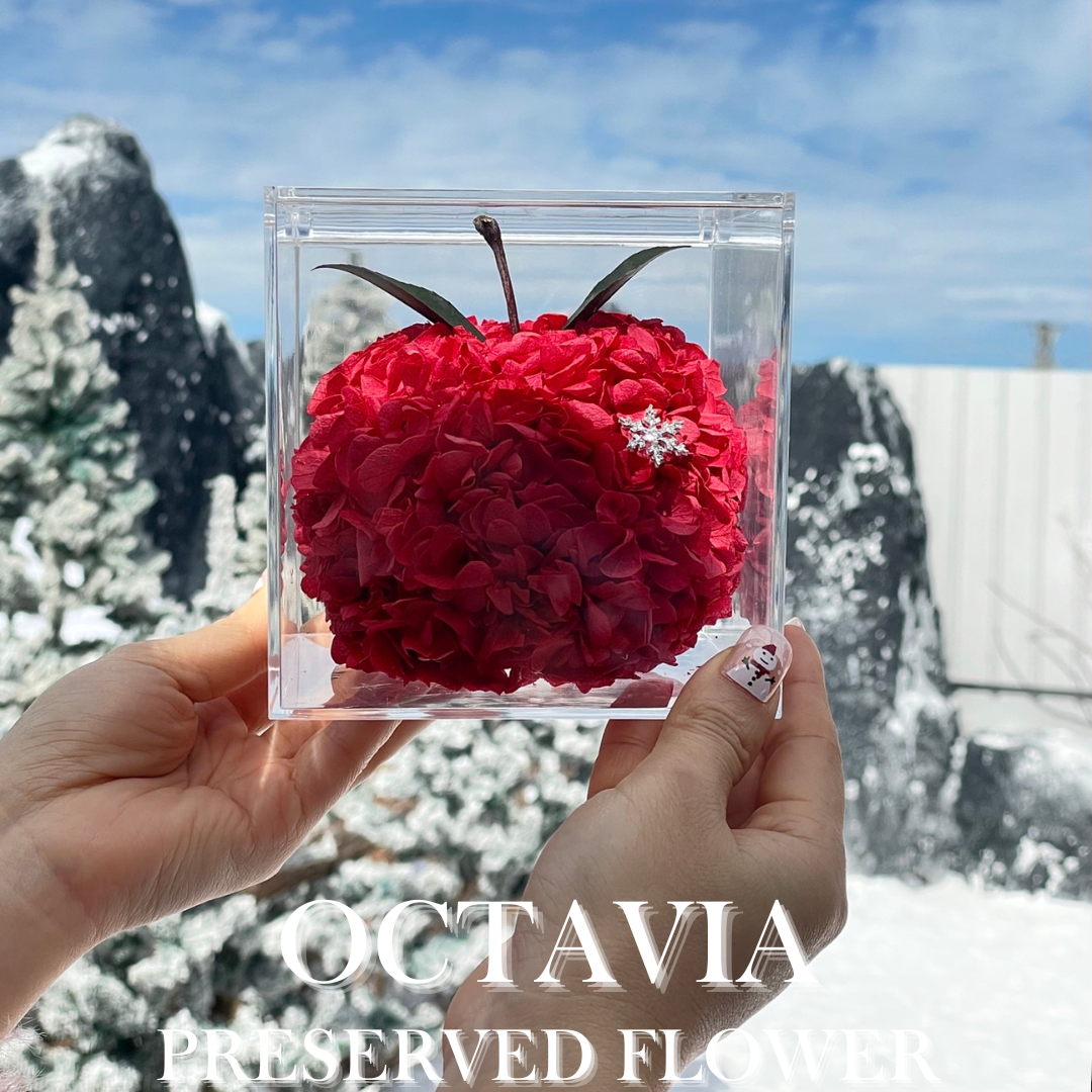 [永生花]-平安喜樂的蘋果