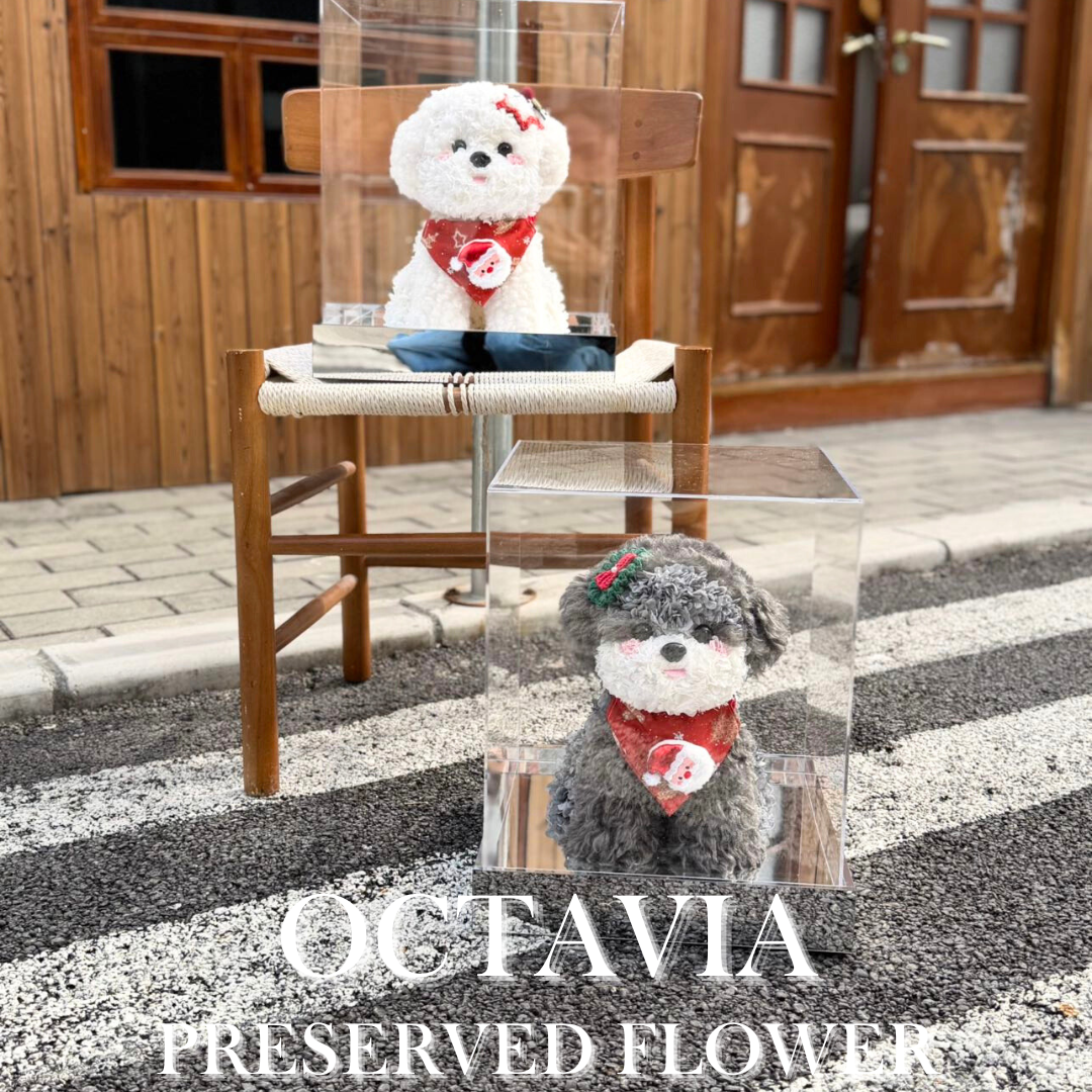 [永生花]-聖誕白色小狗