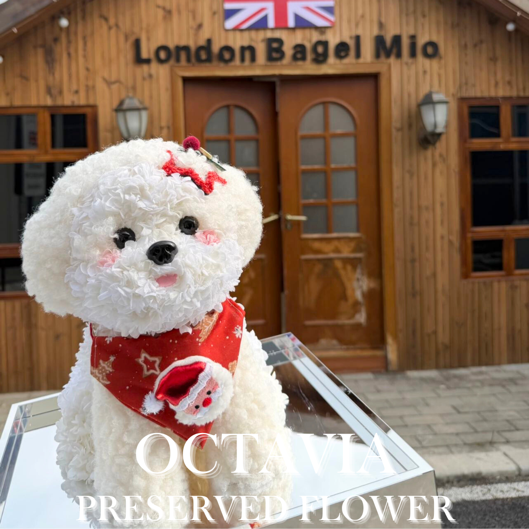 [永生花]-聖誕白色小狗