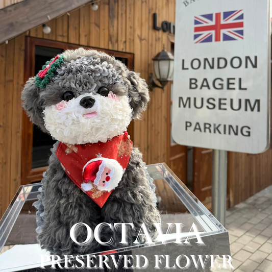 [永生花]-聖誕灰色小狗