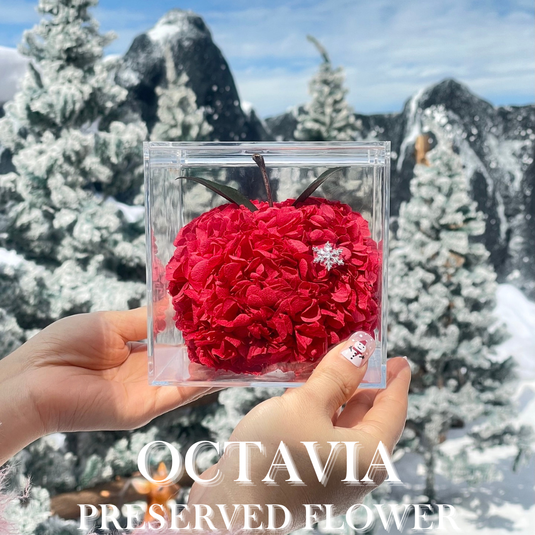 [永生花]-平安喜樂的蘋果