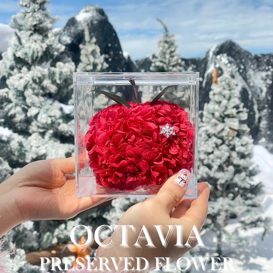 [永生花]-平安喜樂的蘋果