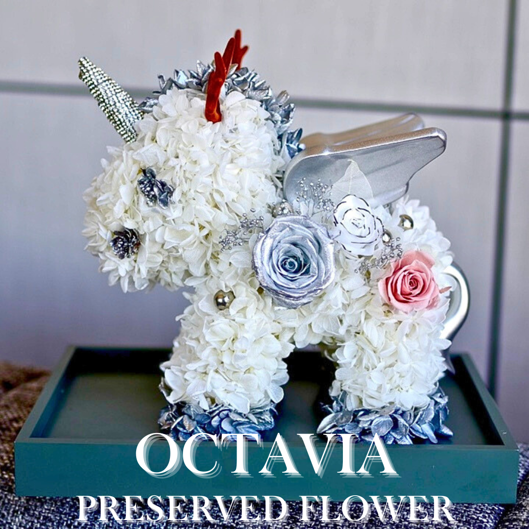 [Preserved Flower] - Christmas