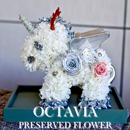 [Preserved Flower] - Christmas