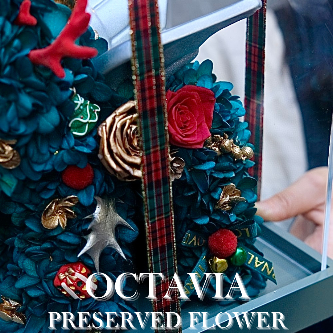 [Preserved Flower] - Christmas