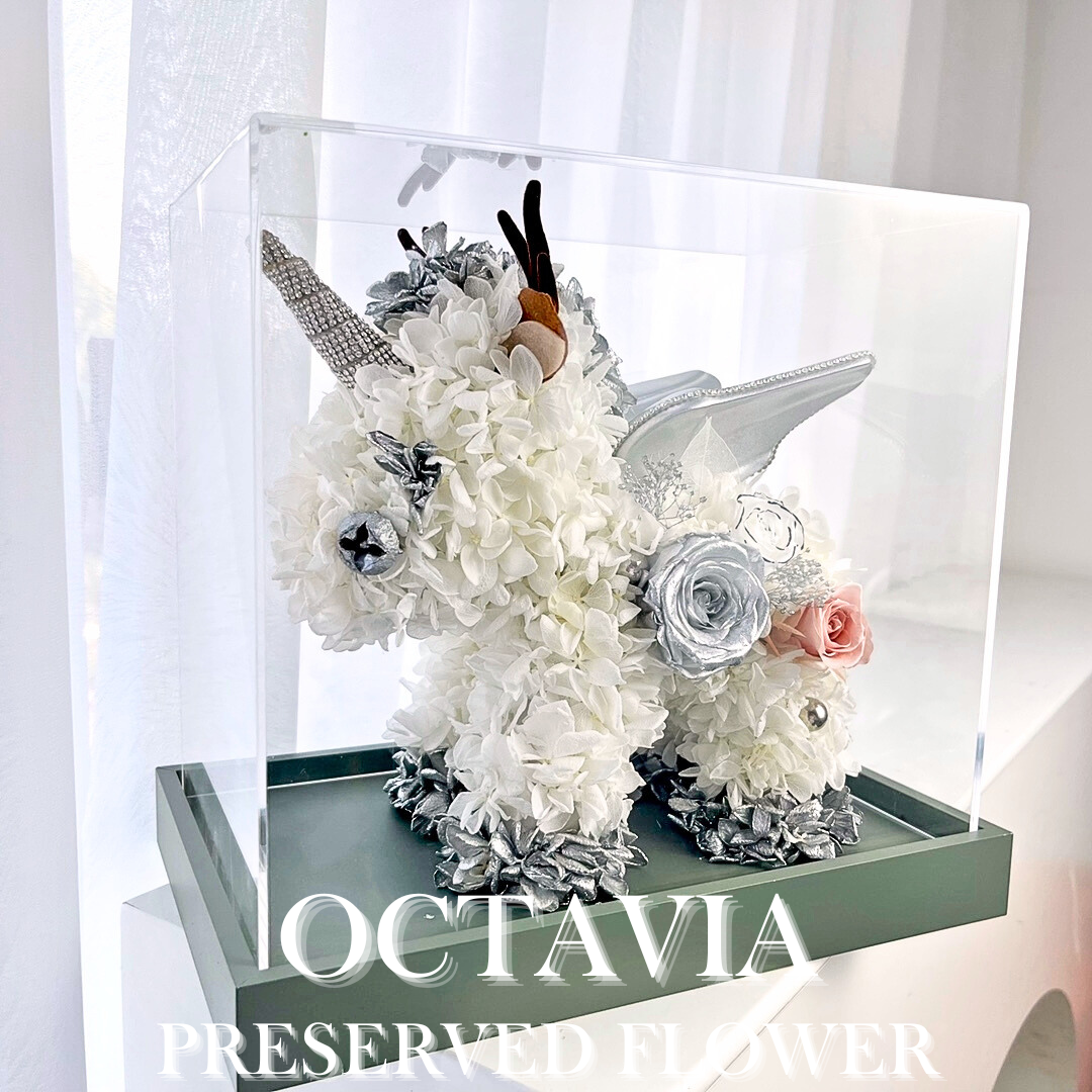 [Preserved Flower] - Christmas