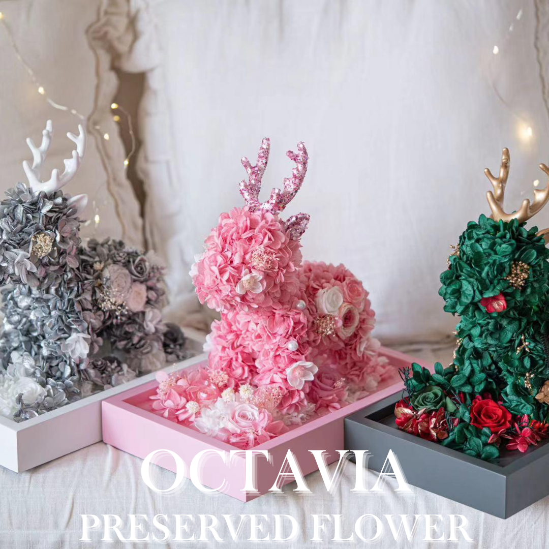 [Preserved Flower] - Christmas